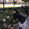 あこにや