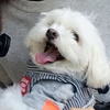 THE.YUKI