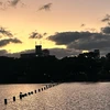 音楽家のふりをする