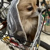 トモ