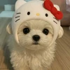 りんちゃま