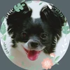 ひぐらし