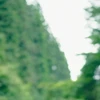 pora