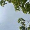 記録用