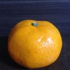 Orangeberry