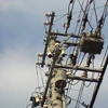 湘南の電柱顔面突撃物語