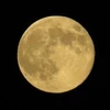 tmoon27