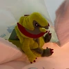 つぼ