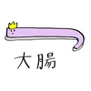 もも
