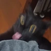 km