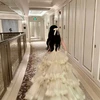 白いサンゴ礁