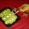 もちもちもっちり