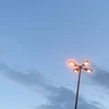 りんご