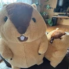 きょ