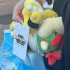 ビュイ