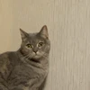 へ