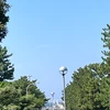 ため池