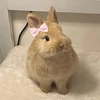 Nana
