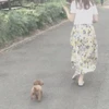 らぽまむ