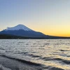のた