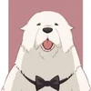 lico