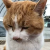 マチルダ