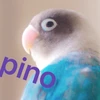 シマ