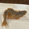 カ