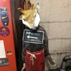 春風亭昇太