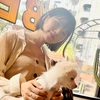 ありめろん