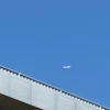 ハルの記録