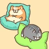 2kafanpashi