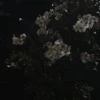 oa
