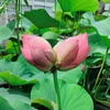 user677T8q5tHkR