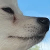 くぅ