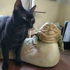 はたぼう