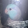 な