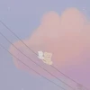 eetoiles