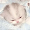 う