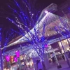 おんせん県民