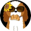 ふらきち