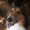 hiroko