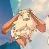 のこ