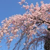 さくさく