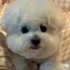 みお