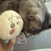 まりん