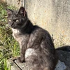むー