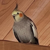 め