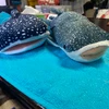 Seaneko