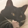 もなか